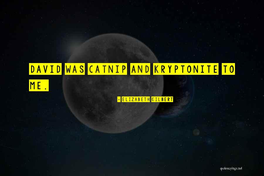 You're My Kryptonite Quotes By Elizabeth Gilbert You're My Kryptonite Quotes By Elizabeth Gilbert