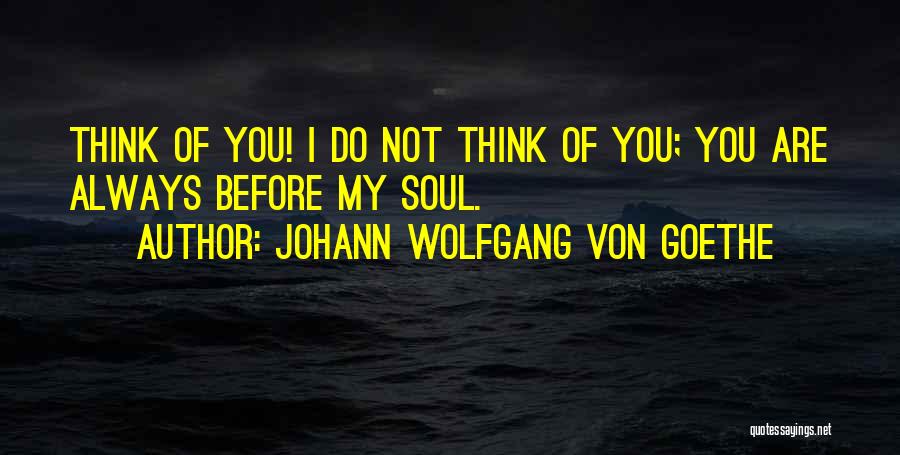 You're My Soulmate Quotes By Johann Wolfgang Von Goethe