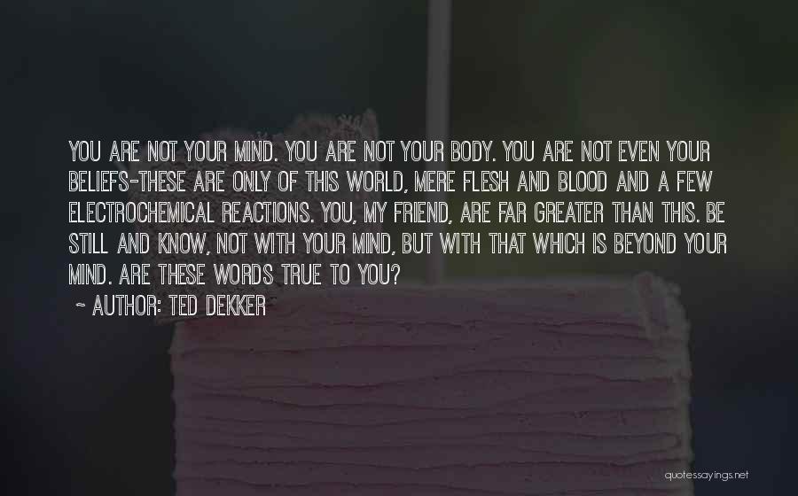You're My True Friend Quotes By Ted Dekker