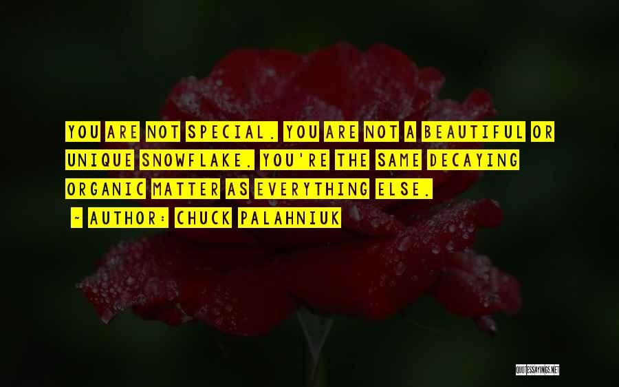 You're Not Beautiful Quotes By Chuck Palahniuk