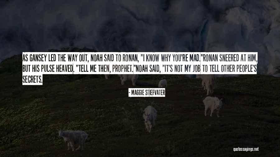 You're Not Cute Quotes By Maggie Stiefvater You're Not Cute Quotes By Maggie Stiefvater