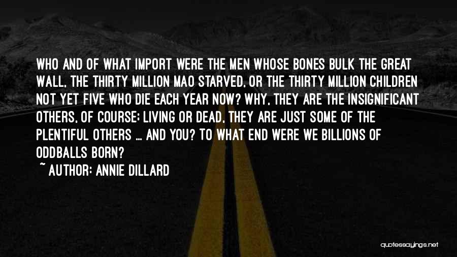 You're Not Dead Yet Quotes By Annie Dillard