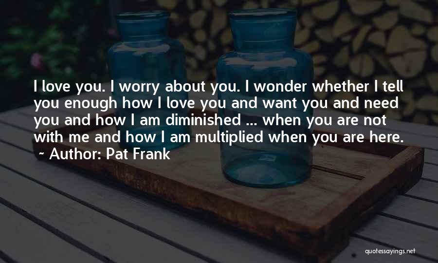 You're Not Here When I Need You Quotes By Pat Frank