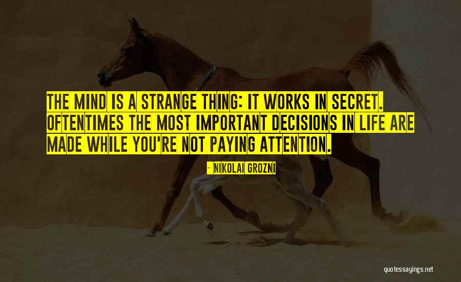 You're Not Important Quotes By Nikolai Grozni You're Not Important Quotes By Nikolai Grozni