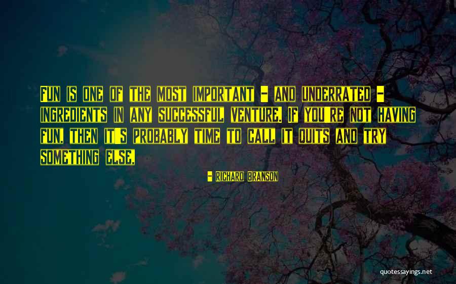You're Not Important Quotes By Richard Branson You're Not Important Quotes By Richard Branson