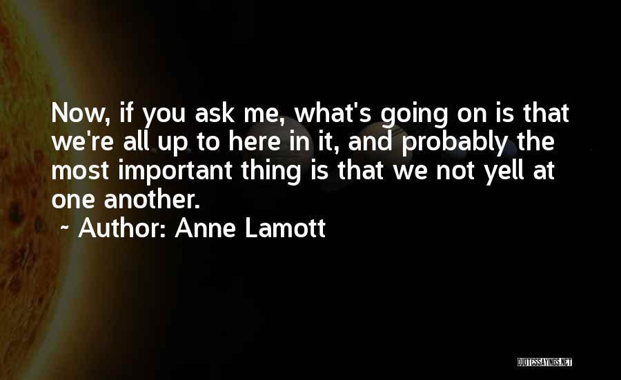 You're Not Important To Me Quotes By Anne Lamott
