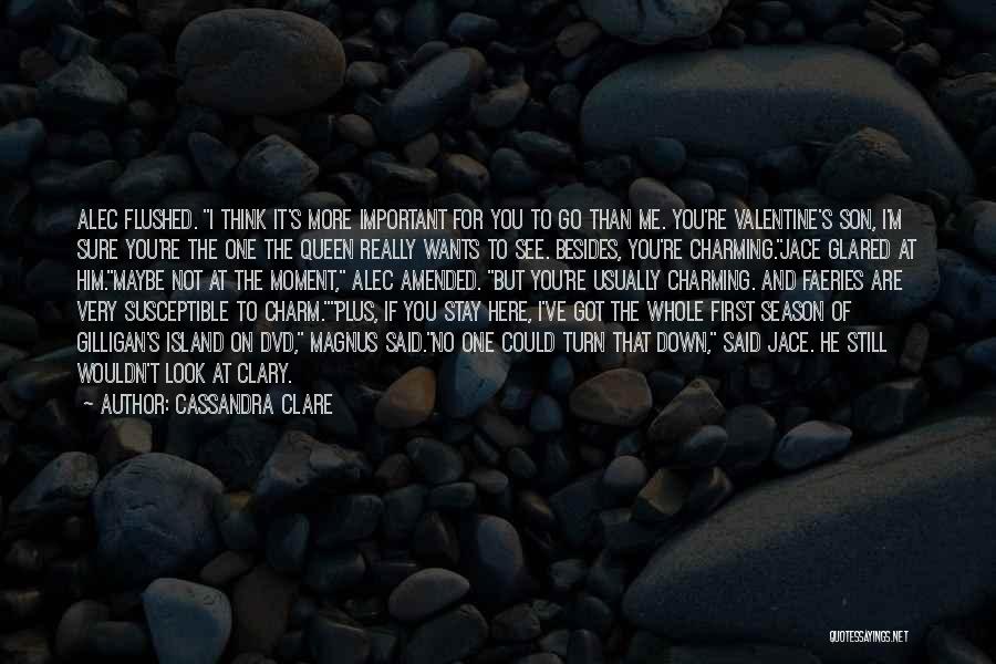 You're Not Important To Me Quotes By Cassandra Clare