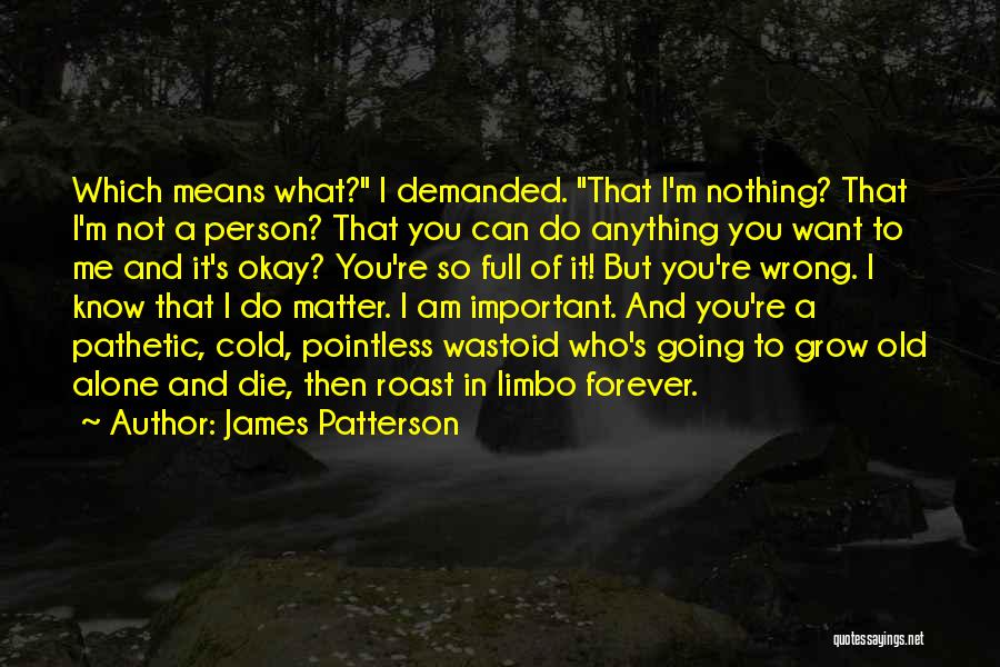 You're Not Important To Me Quotes By James Patterson