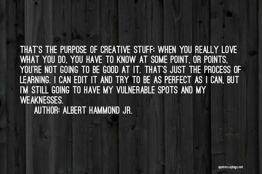 You're Not Perfect Love Quotes By Albert Hammond Jr.