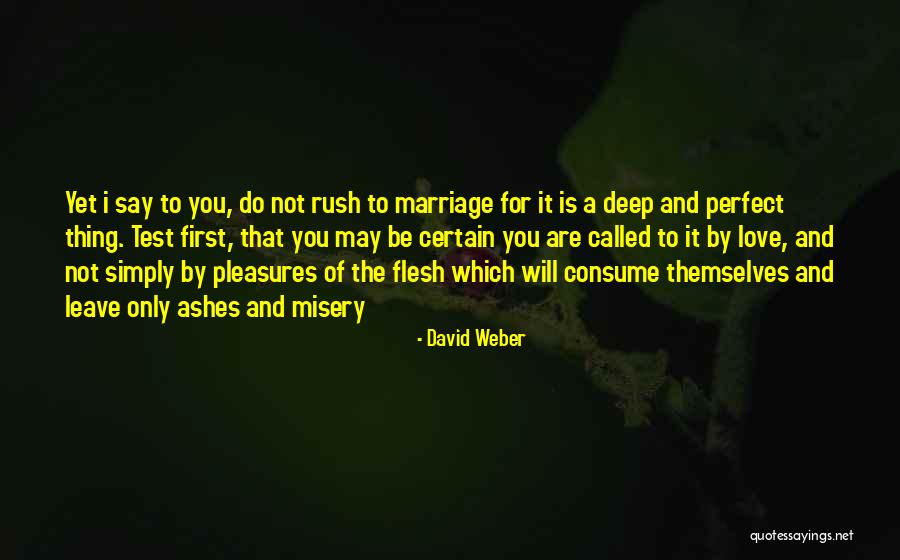 You're Not Perfect Love Quotes By David Weber