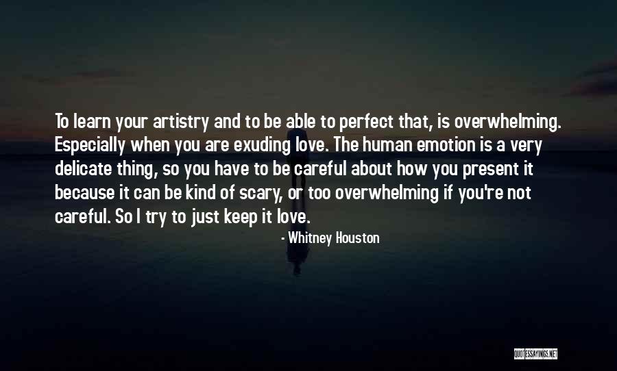 You're Not Perfect Love Quotes By Whitney Houston