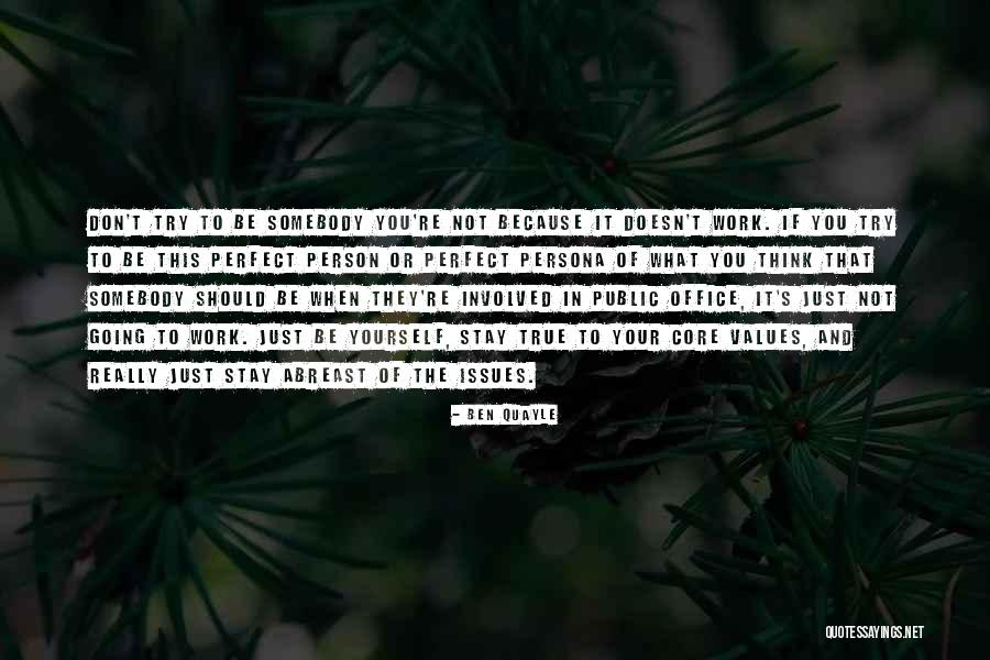 You're Not Perfect Yourself Quotes By Ben Quayle You're Not Perfect Yourself Quotes By Ben Quayle