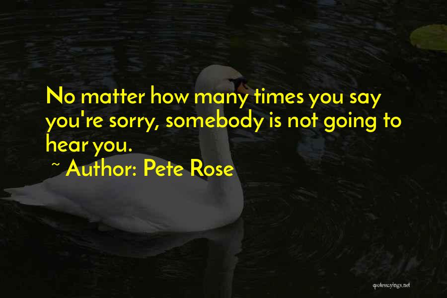 You're Not Sorry Quotes By Pete Rose