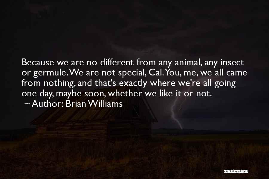 You're Not Special Quotes By Brian Williams