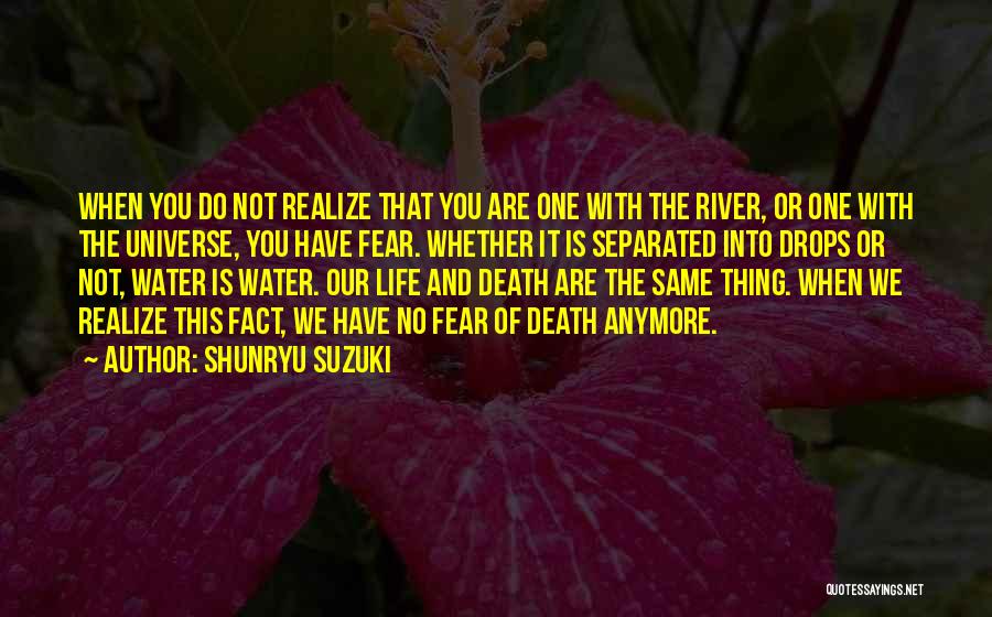 You're Not The Same Anymore Quotes By Shunryu Suzuki