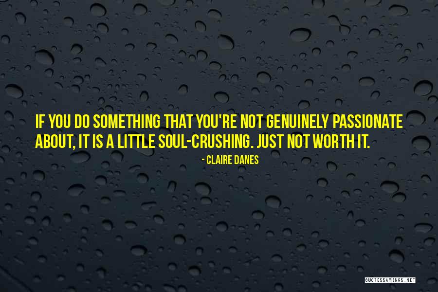 You're Not Worth It Quotes By Claire Danes You're Not Worth It Quotes By Claire Danes