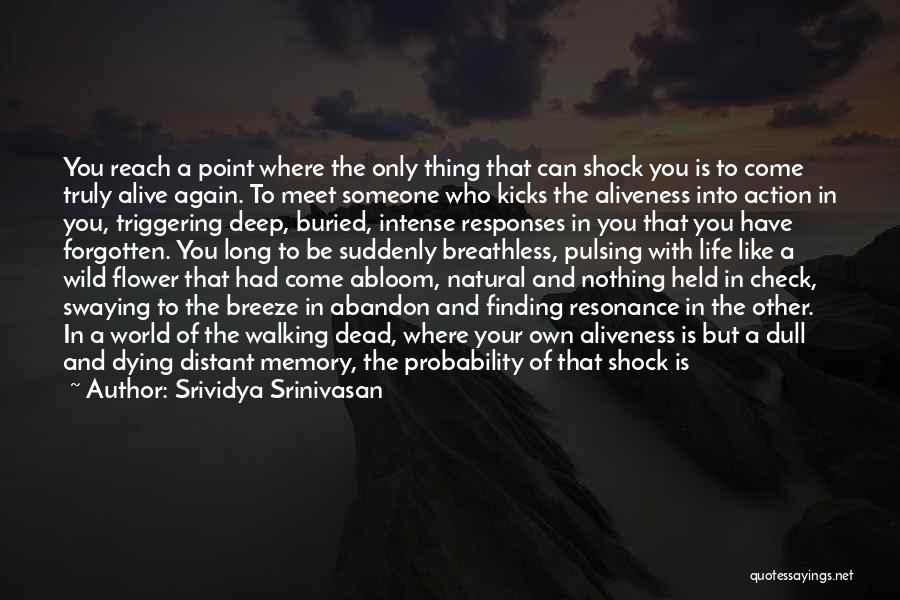 You're Nothing But A Memory Quotes By Srividya Srinivasan