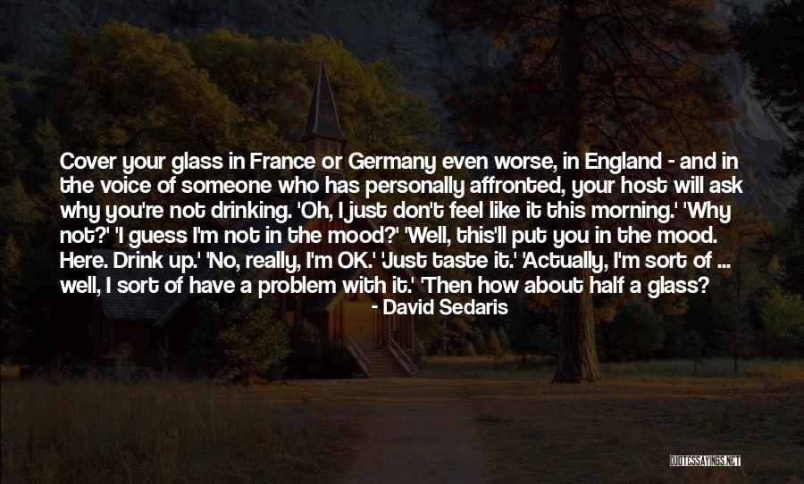 You're Ok Quotes By David Sedaris You're Ok Quotes By David Sedaris