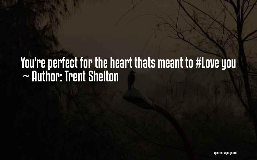 You're Perfect Love Quotes By Trent Shelton