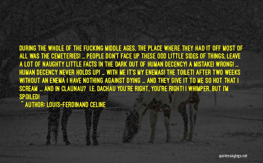 You're Right I'm Wrong Quotes By Louis-Ferdinand Celine