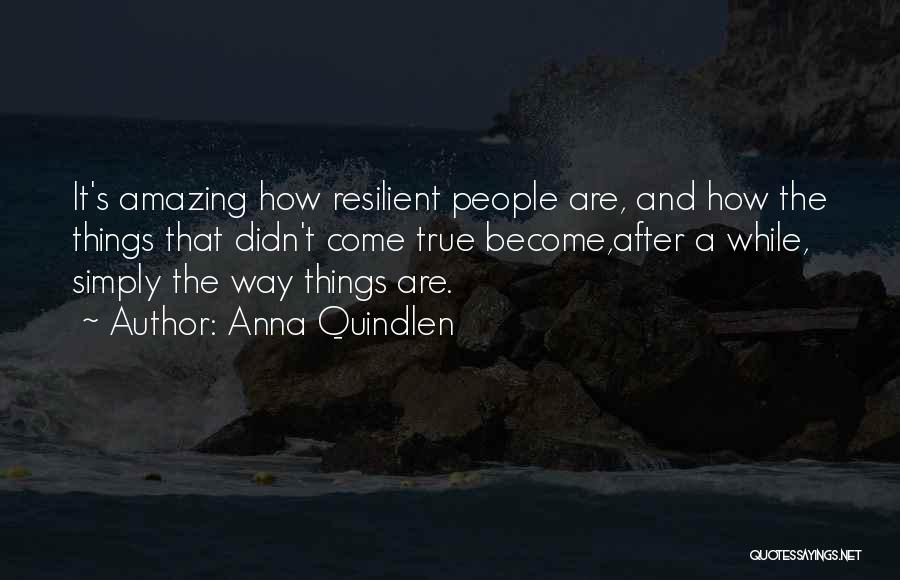 You're Simply Amazing Quotes By Anna Quindlen