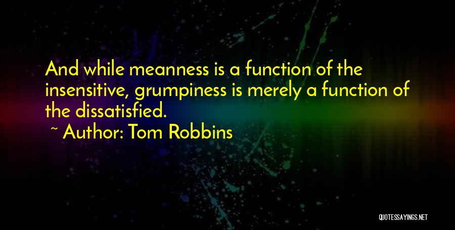 You're So Insensitive Quotes By Tom Robbins