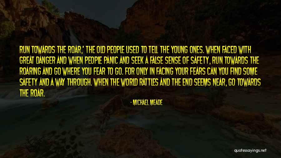 You're So Near Yet So Far Quotes By Michael Meade You're So Near Yet So Far Quotes By Michael Meade