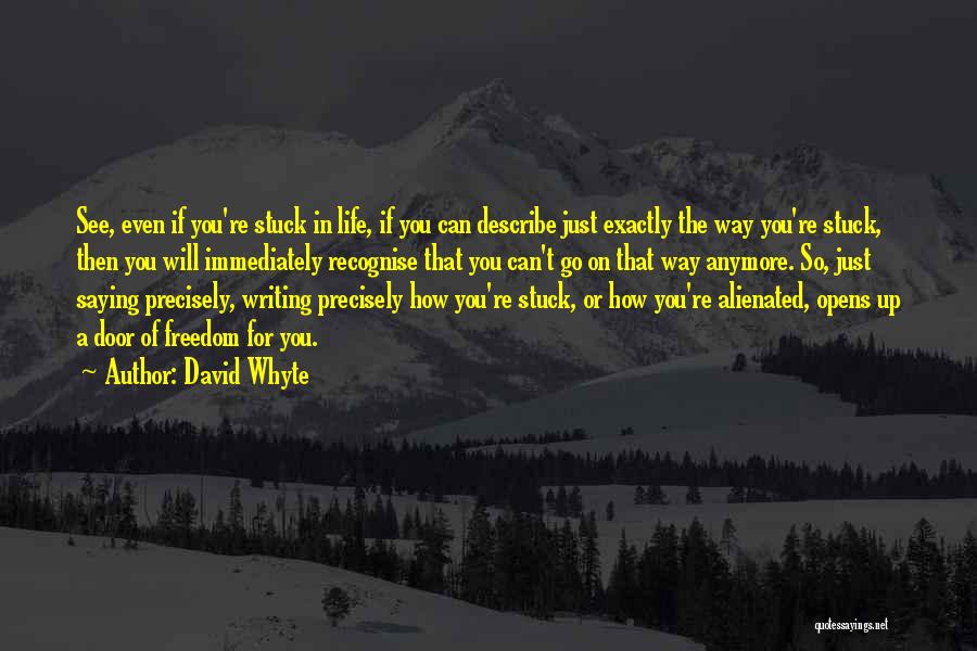 You're So Stuck Up Quotes By David Whyte