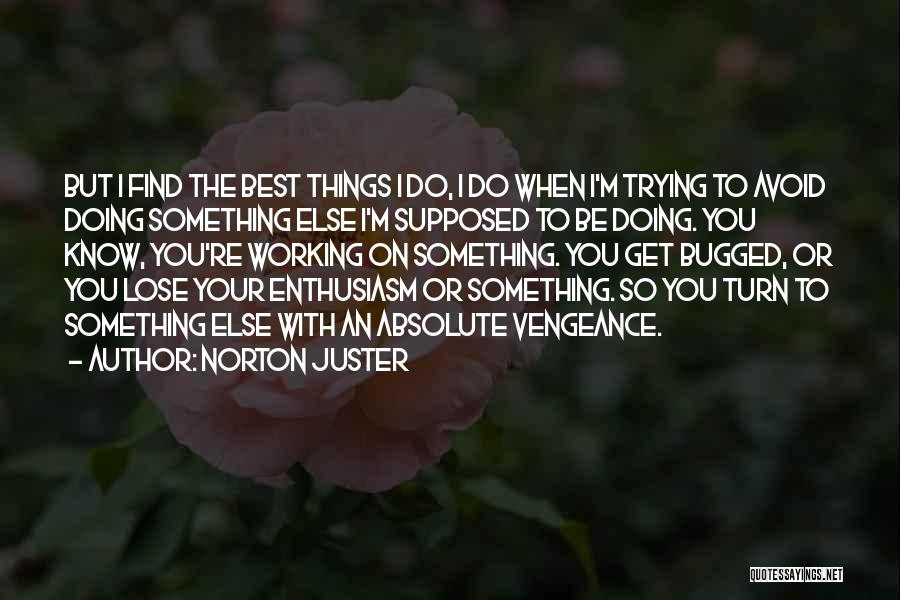 You're Something Else Quotes By Norton Juster