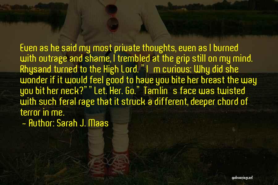 You're Still In My Mind Quotes By Sarah J. Maas