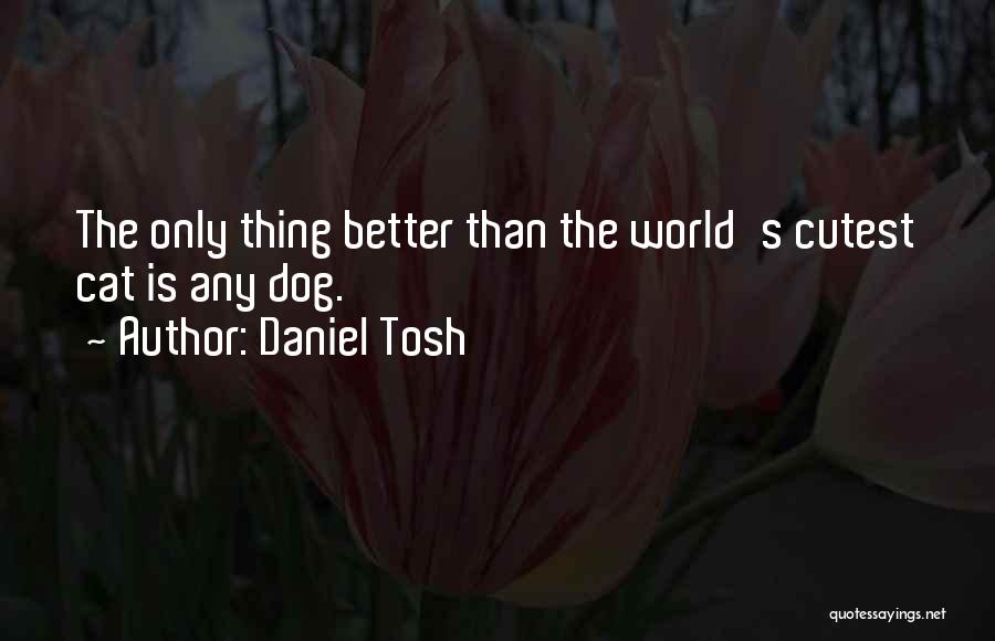 You're The Cutest Quotes By Daniel Tosh