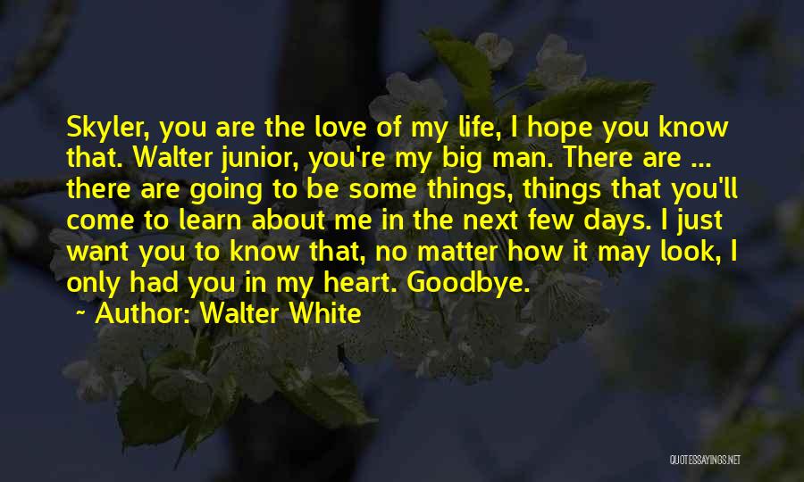 You're The Only Man In My Heart Quotes By Walter White