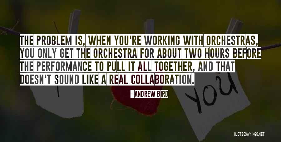 You're The Problem Quotes By Andrew Bird You're The Problem Quotes By Andrew Bird
