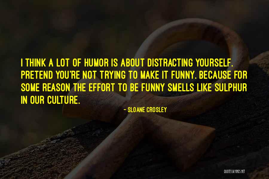 You're The Reason Funny Quotes By Sloane Crosley