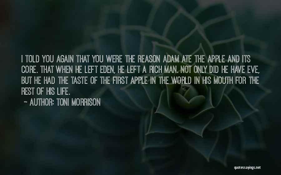 You're The Reason I Left Quotes By Toni Morrison