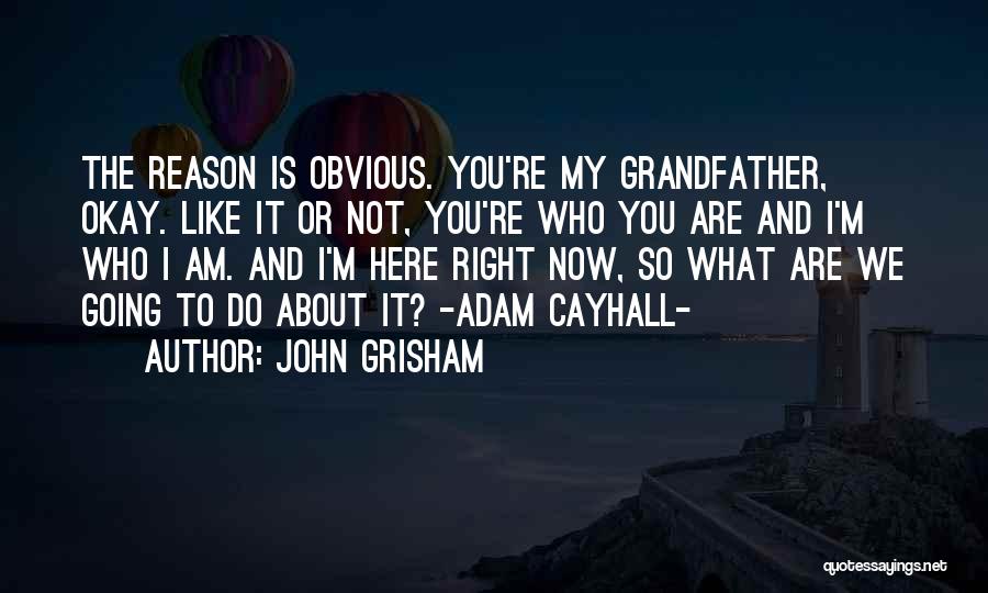 You're The Reason Love Quotes By John Grisham