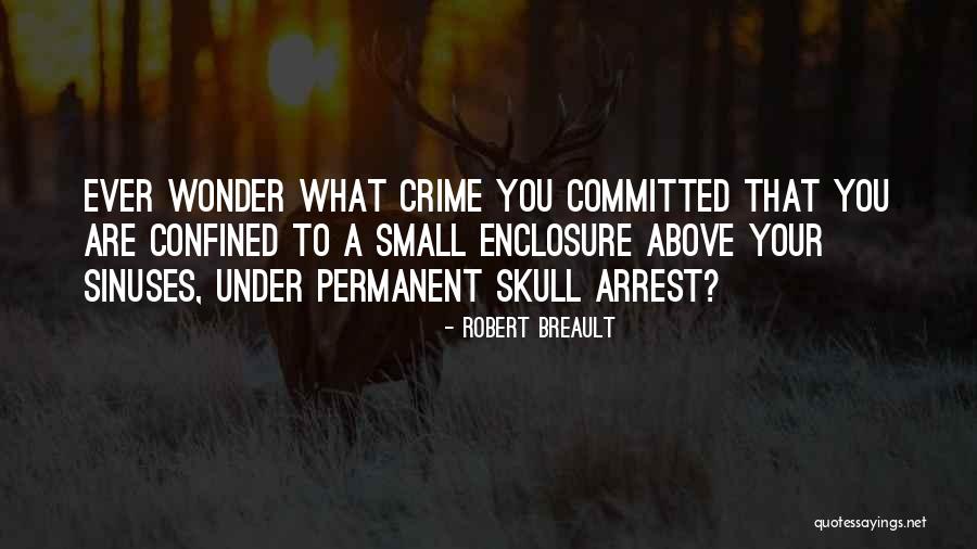 You're Under Arrest Quotes By Robert Breault