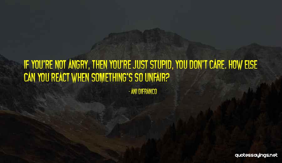 You're Unfair Quotes By Ani DiFranco You're Unfair Quotes By Ani DiFranco