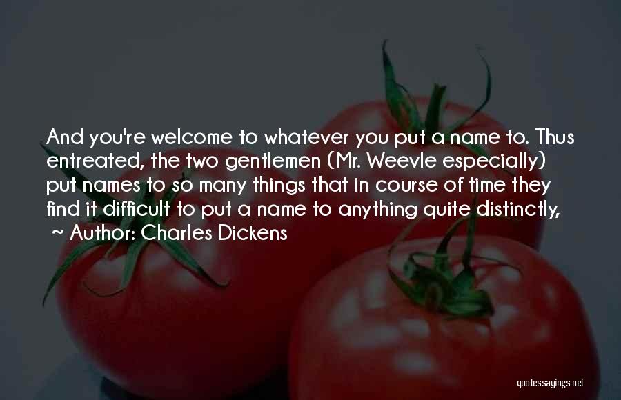 You're Welcome Quotes By Charles Dickens