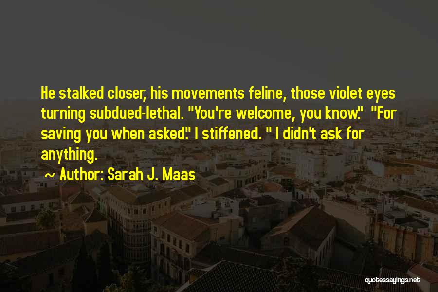 You're Welcome Quotes By Sarah J. Maas