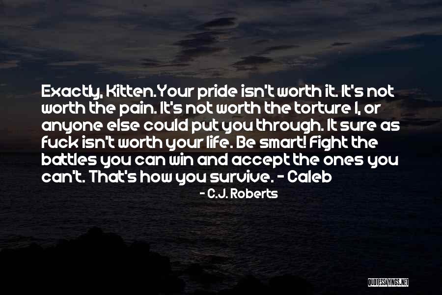 You're Worth The Fight Quotes By C.J. Roberts