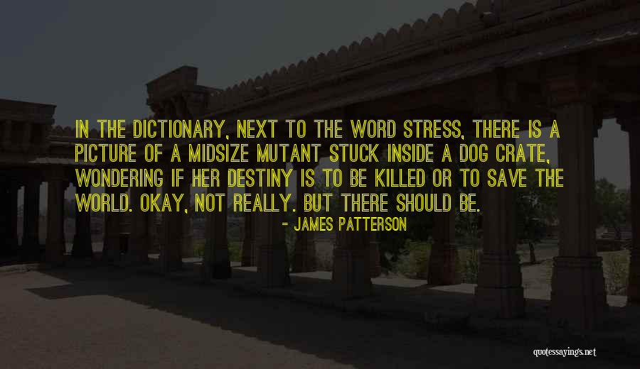 Yournorthland Quotes By James Patterson Yournorthland Quotes By James Patterson