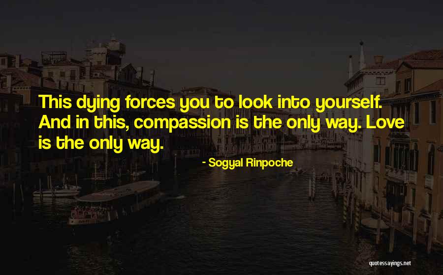 Yourself In Love Quotes By Sogyal Rinpoche Yourself In Love Quotes By Sogyal Rinpoche