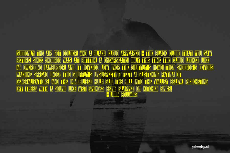Yourselfers Quotes By John Bellairs Yourselfers Quotes By John Bellairs