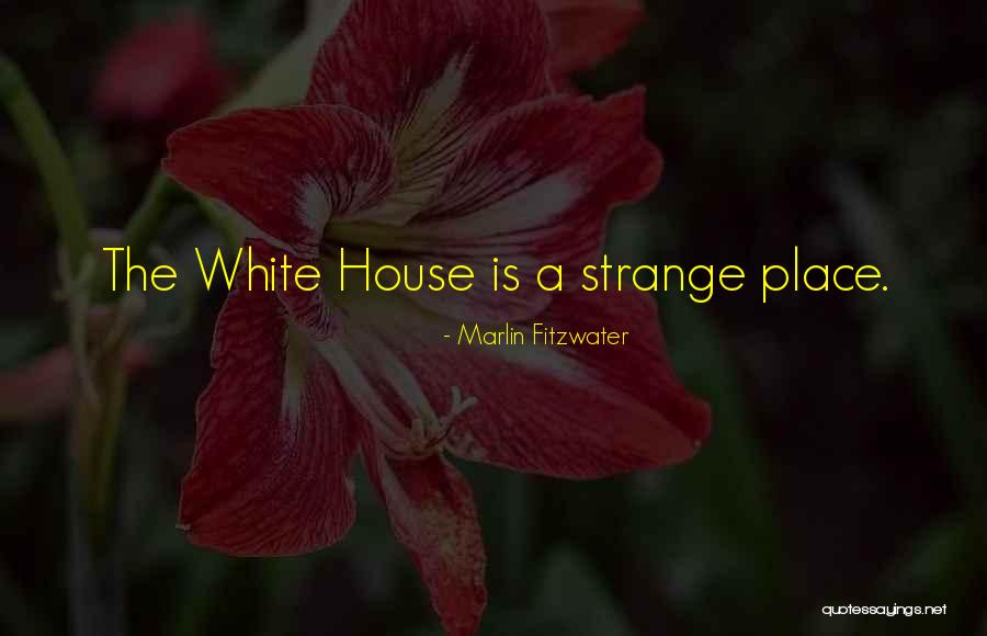 Youssef Zalal Quotes By Marlin Fitzwater Youssef Zalal Quotes By Marlin Fitzwater