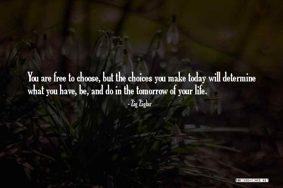 Youssra Kandil Quotes By Zig Ziglar Youssra Kandil Quotes By Zig Ziglar