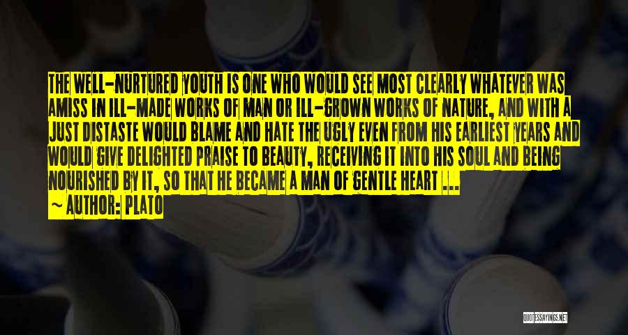 Youth And Beauty Quotes By Plato