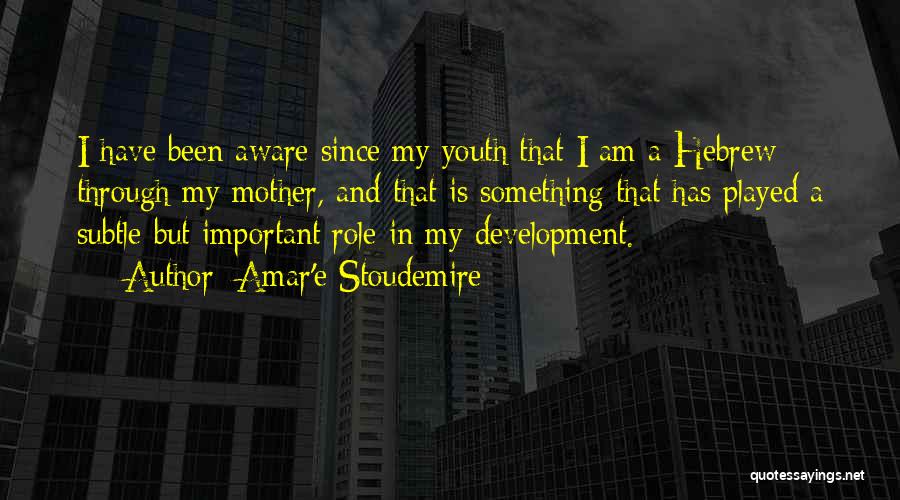 Youth And Development Quotes By Amar'e Stoudemire