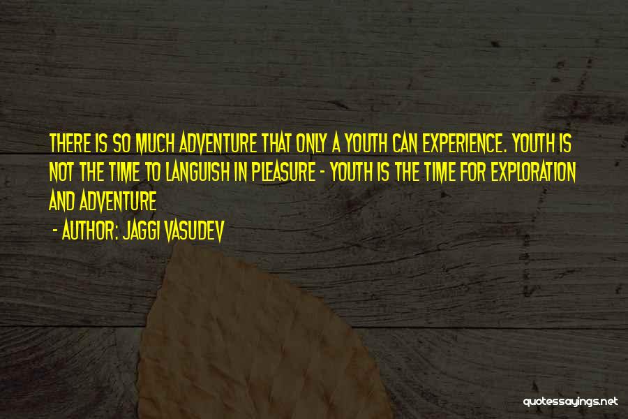 Youth And Experience Quotes By Jaggi Vasudev