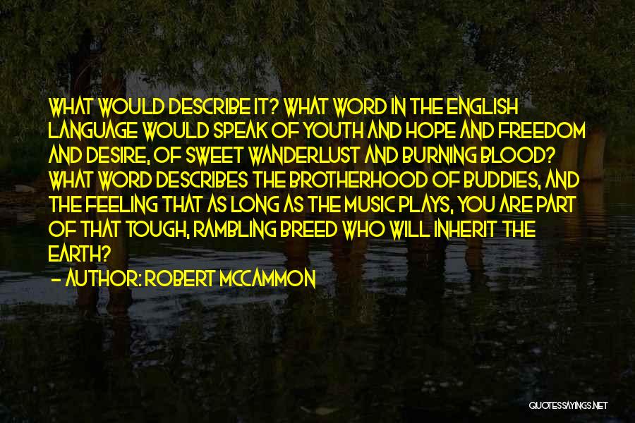 Youth And Freedom Quotes By Robert McCammon